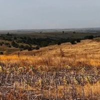 Farmland in Furnas County Nebraska for Sale images 3
