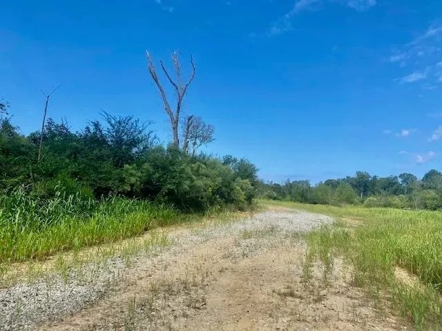 51 acres Magnolia Holmesville Road featured image