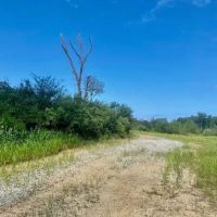 51 acres Magnolia Holmesville Road