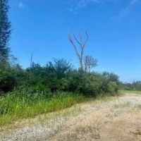 51 acres Magnolia Holmesville Road images 2