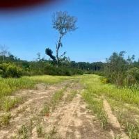51 acres Magnolia Holmesville Road images 3