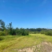 51 acres Magnolia Holmesville Road images 5