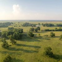 McCurtain 260 images 5