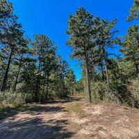350 Acres Willow Creek FM 3179 images 5