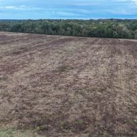 LA - Caldwell 22 acres - images 3