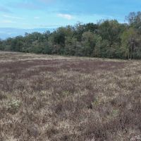 LA - Caldwell 22 acres - images 4
