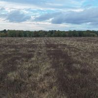 LA - Caldwell 22 acres - images 5