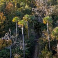 Ross Hammock Ranch images 5