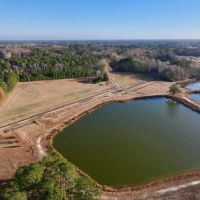 35.08 acres of Pasture and Timber Land with multiple Ponds For Sale just outside Washington City Limits in Beaufort County NC images 3