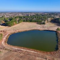 35.08 acres of Pasture and Timber Land with multiple Ponds For Sale just outside Washington City Limits in Beaufort County NC images 4