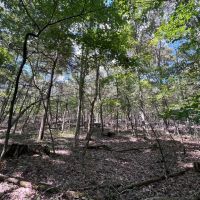 Small Hunting Tract