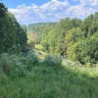 Small Hunting Tract images 5