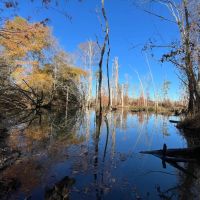 147.16 Acres in Jackson Parish LA