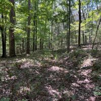 Hunting Home or Cabin images 4