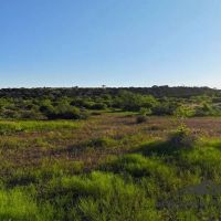 Wilson Carlsbad Ranch images 5