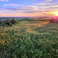 Potential Building Site With Amazing Views And Mature Shelter Belt images 2