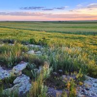 Potential Building Site With Amazing Views And Mature Shelter Belt images 3