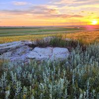 Potential Building Site With Amazing Views And Mature Shelter Belt images 5