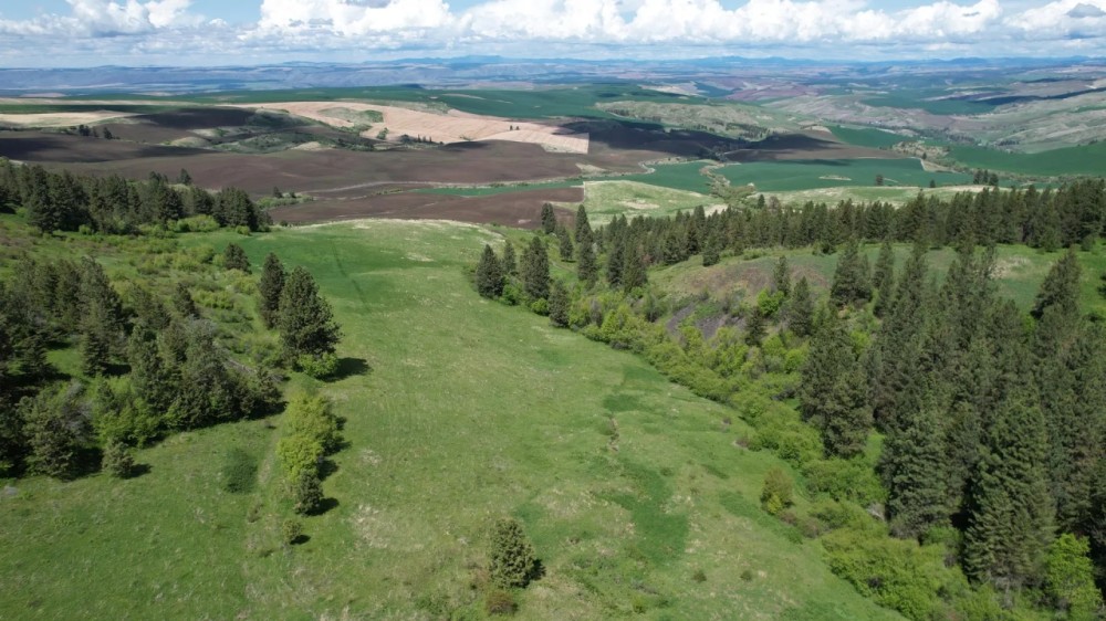 Howerton Spring Ranch featured image