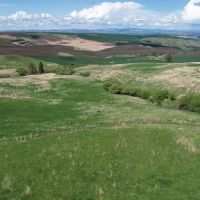 Howerton Spring Ranch images 2