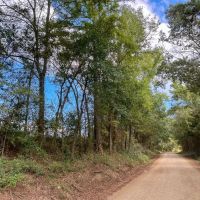 40 Acres T-1 Off CR 4916 images 5