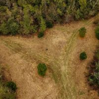 84.5 Acres in Yazoo County MS images 4