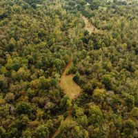 84.5 Acres in Yazoo County MS images 5