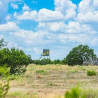 Sutton County Live Oak Ranch NW of Sonora images 3