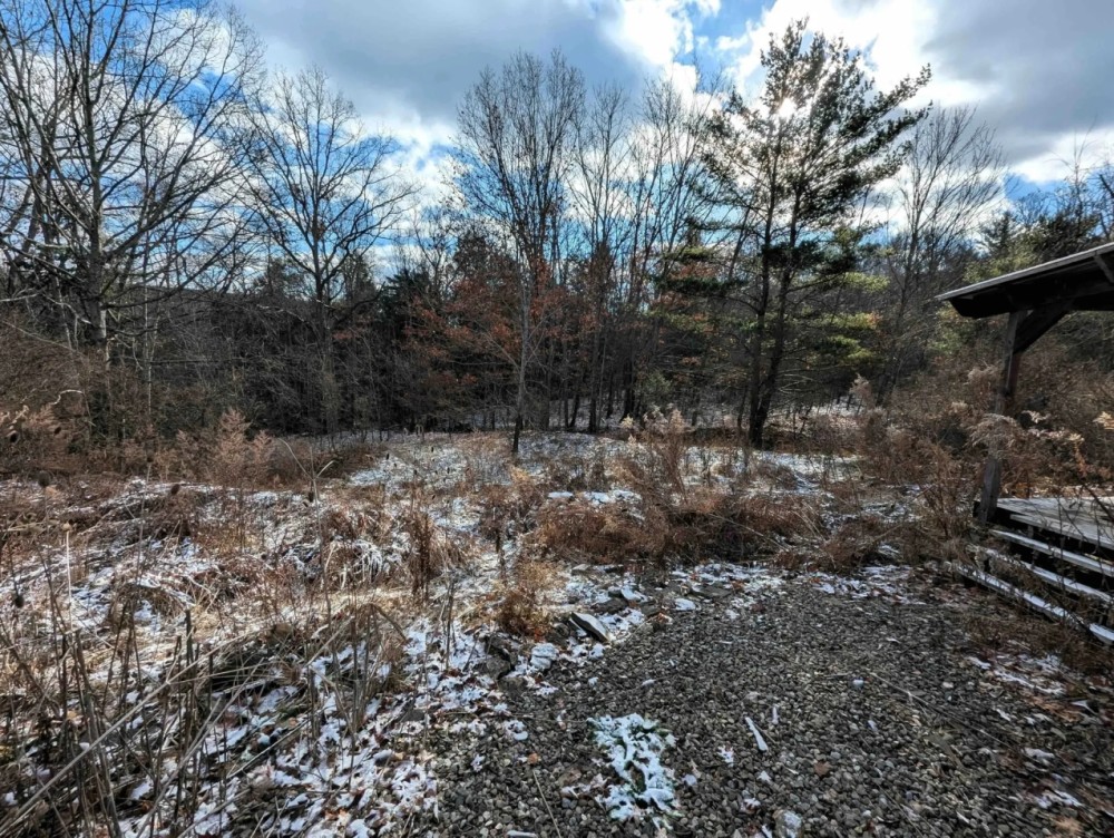 4 acre Lot near Wildlife Management Area in Cameron NY Angel Rd featured image