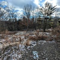 4 acre Lot near Wildlife Management Area in Cameron NY Angel Rd images 1