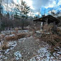 4 acre Lot near Wildlife Management Area in Cameron NY Angel Rd images 2