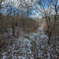4 acre Lot near Wildlife Management Area in Cameron NY Angel Rd images 4