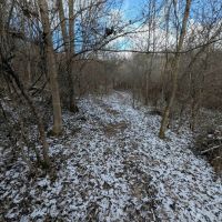 4 acre Lot near Wildlife Management Area in Cameron NY Angel Rd images 5
