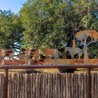JD Ranch images 5