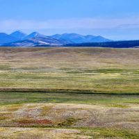 The Preserve at Arrowhead Ranch images 3