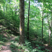 Burr Oak State Park 2,593 Acres of Duck Hunting in Athens , OH images 3
