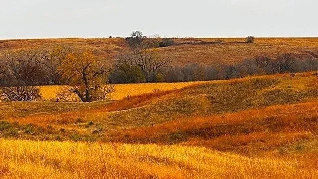 Farm for Sale in Franklin County Nebraska featured image