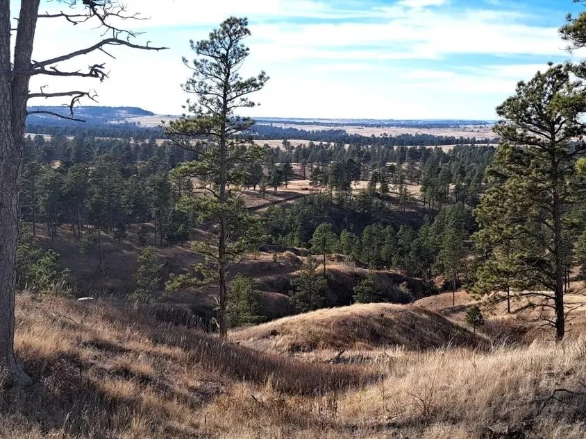 30.93 Acres - Nebraska Land for Sale featured image