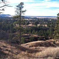 30.93 Acres - Nebraska Land for Sale