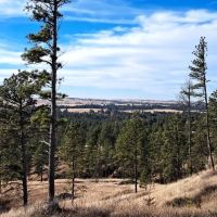 30.93 Acres - Nebraska Land for Sale images 5