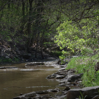 Caesar Creek State Park 3,741 Acres of Deer Hunting in Wayne, OH images 6