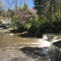 Caesar Creek State Park 3,741 Acres of Deer Hunting in Wayne, OH images 4
