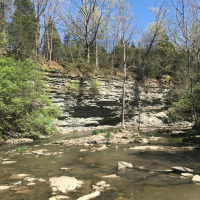 Caesar Creek State Park 3,741 Acres of Deer Hunting in Wayne, OH images 2