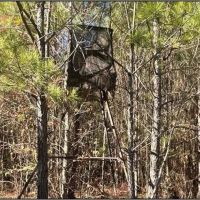 80 Acres in Newton County in Hickory MS