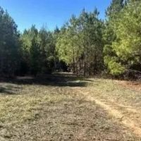 80 Acres in Newton County in Hickory MS images 3