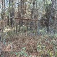 80 Acres in Newton County in Hickory MS images 5