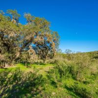 North Quihi Ranch images 2
