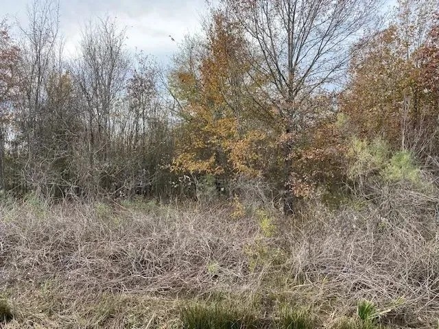 LA - Richland 21 acres - featured image