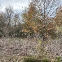 LA - Richland 21 acres -