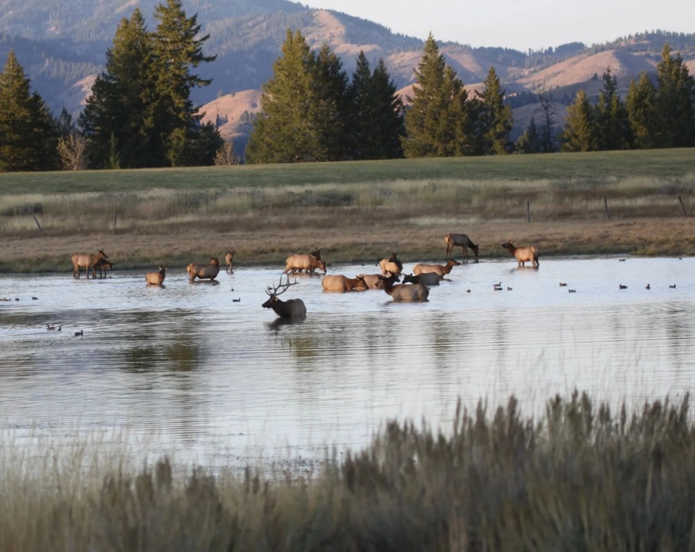 Anderson Ranch featured image